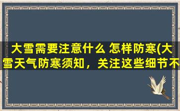 大雪需要注意什么 怎样防寒(大雪天气防寒须知，关注这些细节不被寒流袭击！)